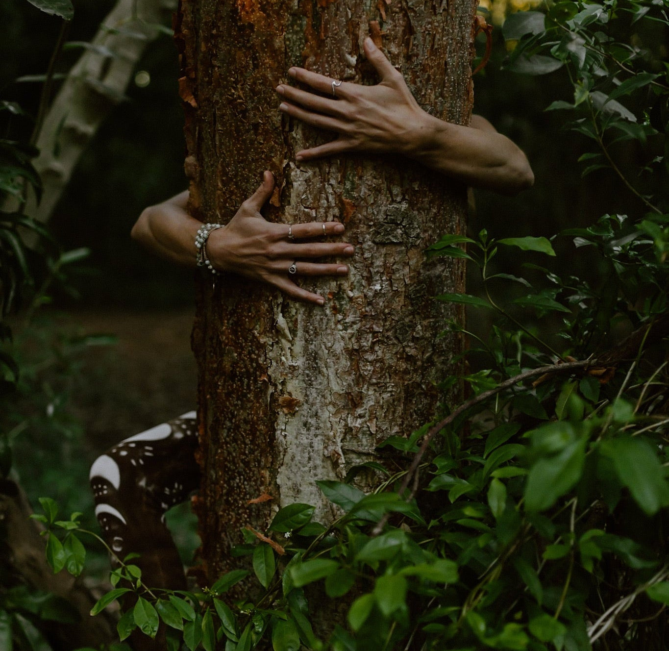Person hugging a tree in a forest setting